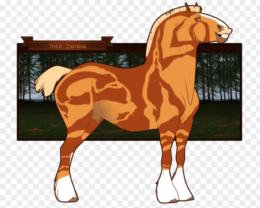 Mustang Stallion Halter Rein Freikörperkultur PNG