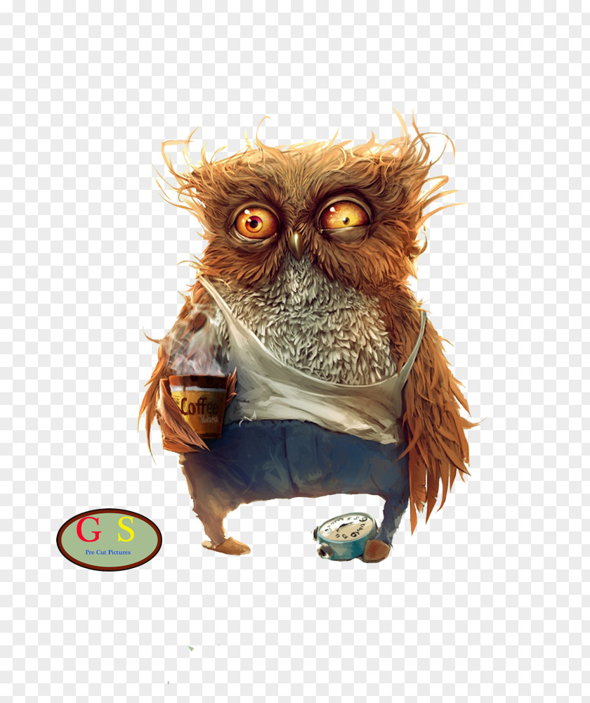 Owl Desktop Wallpaper Bird Coffee Morning PNG
