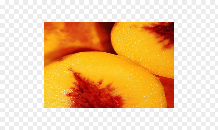 Peach Juice Nectar Auglis Fruit PNG