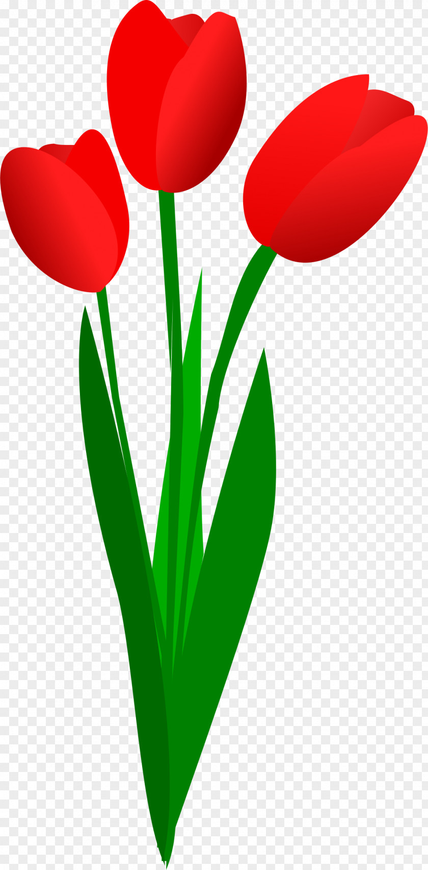 Privacy Tulip Flower Bouquet Clip Art PNG