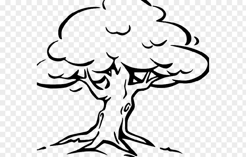 Tree Oak Branch Trunk Clip Art PNG