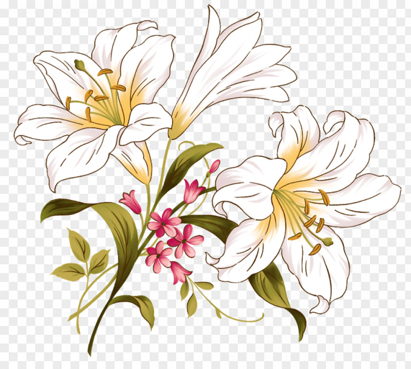 Design Adobe Photoshop Image Download Lily PNG