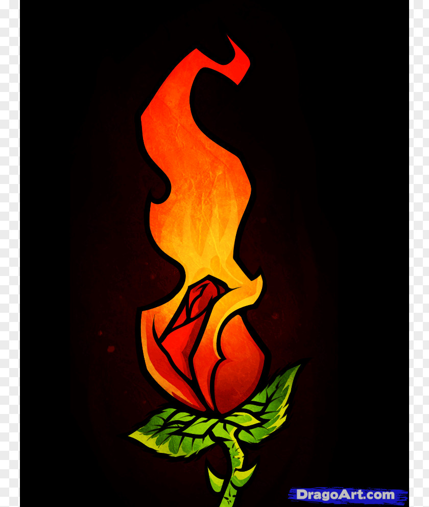 Flaming Rose Cliparts Drawing Fire Flower PNG