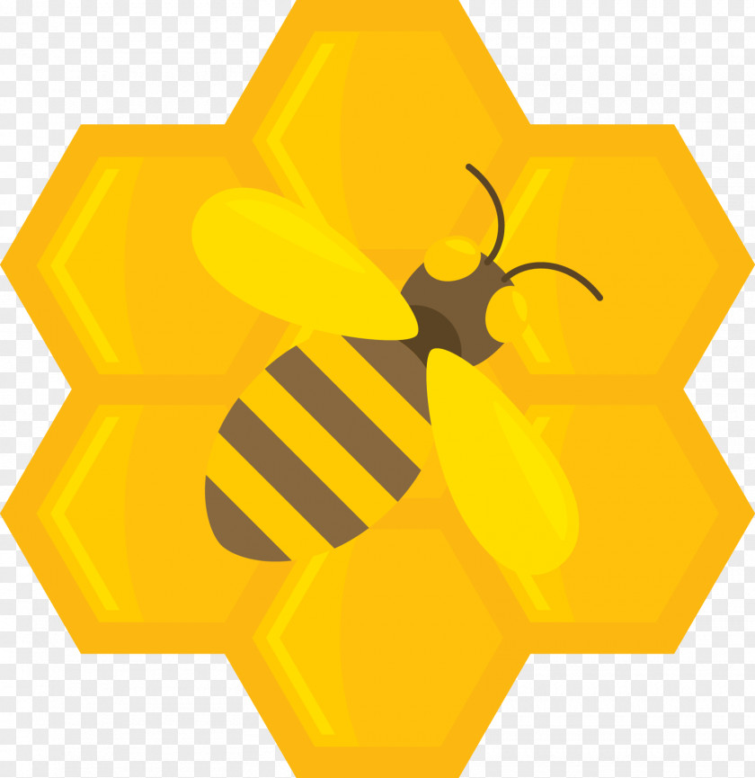 Flat Cartoon Bee Honey Icon PNG