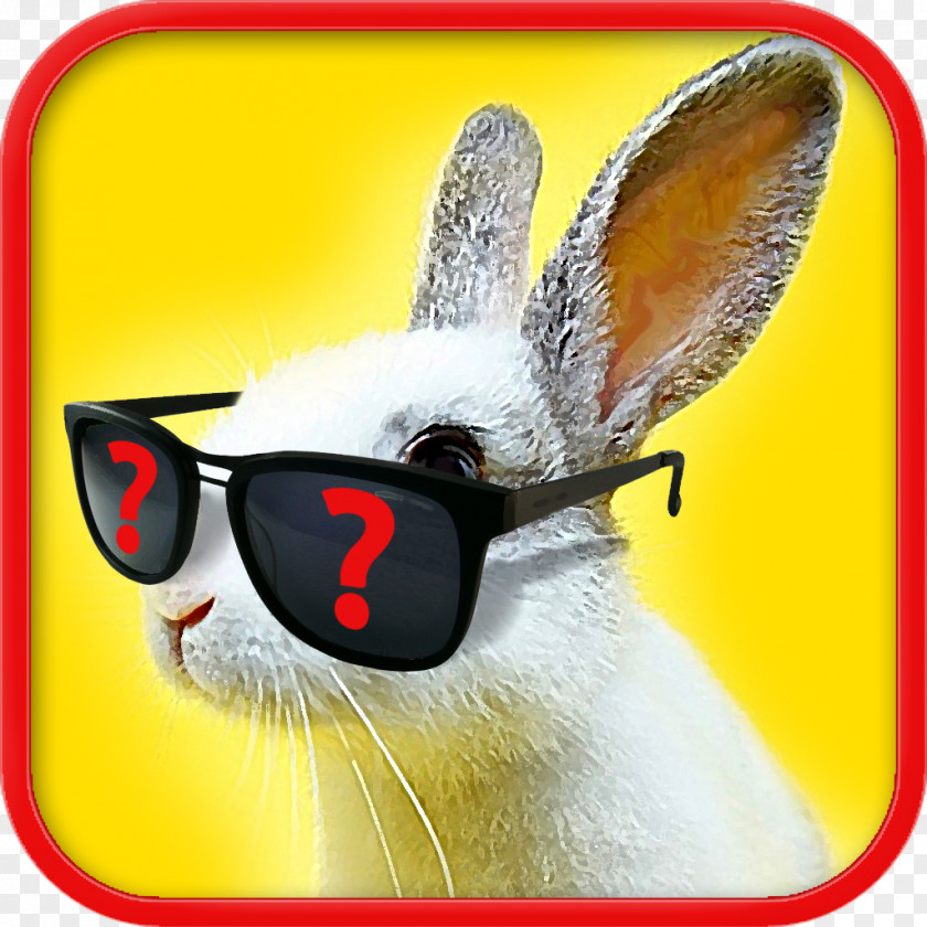 Glasses Domestic Rabbit Easter Bunny Hare PNG