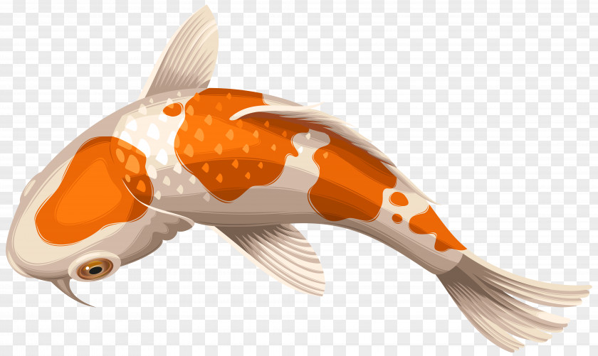 Gold Fish Koi Showa Goldfish Clip Art PNG