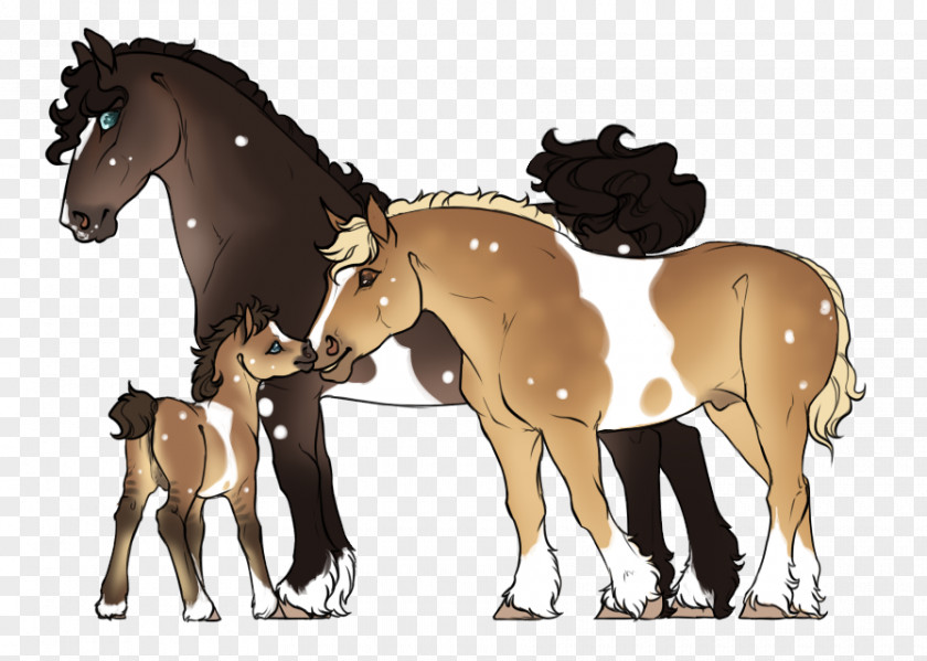 Mud Horse Mustang Foal Pony Stallion Mare PNG