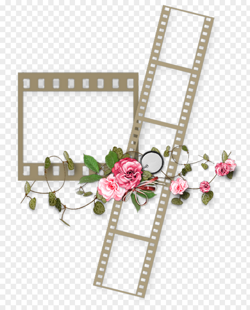 Strip Picture Frames Molding Photography PNG