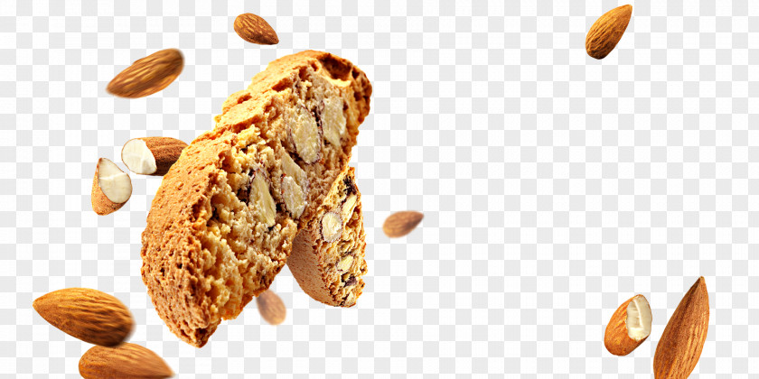 Almond Nut Biscotti Cheesecake Gluten-free Diet PNG