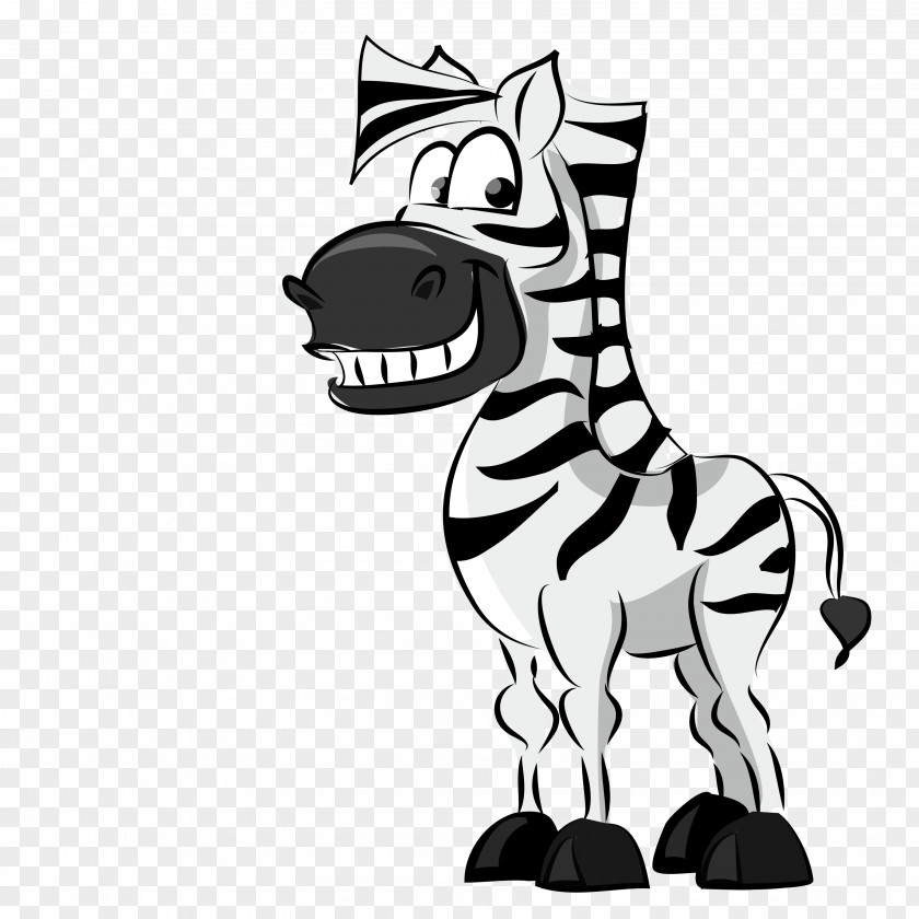 Cartoon Zebra Vector Black And White Illustration PNG