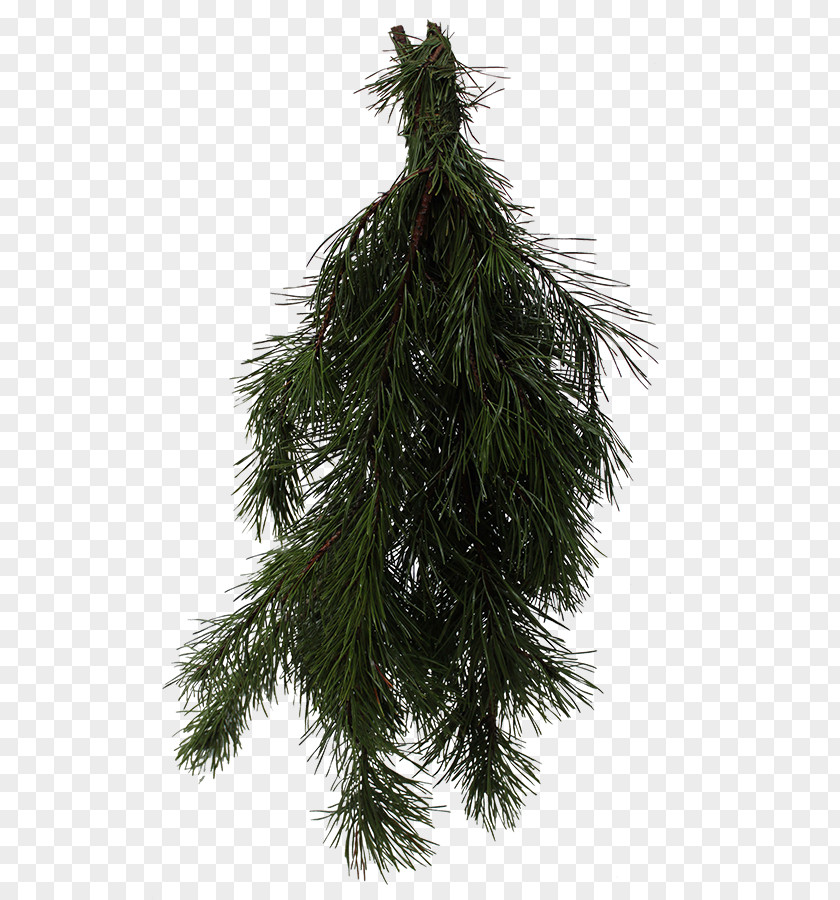 Christmas Tree Spruce Ornament Fir Pine Larch PNG