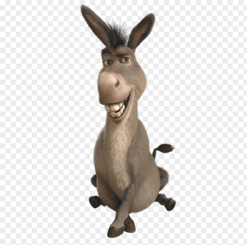 Donkey Princess Fiona Shrek Film Series PNG