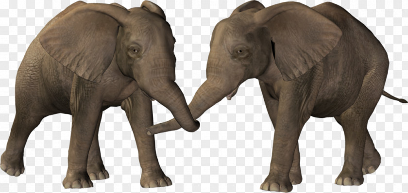 Elephant National Day Clip Art PNG