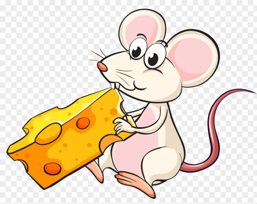 Mouse Rat Stock Photography Cheese PNG