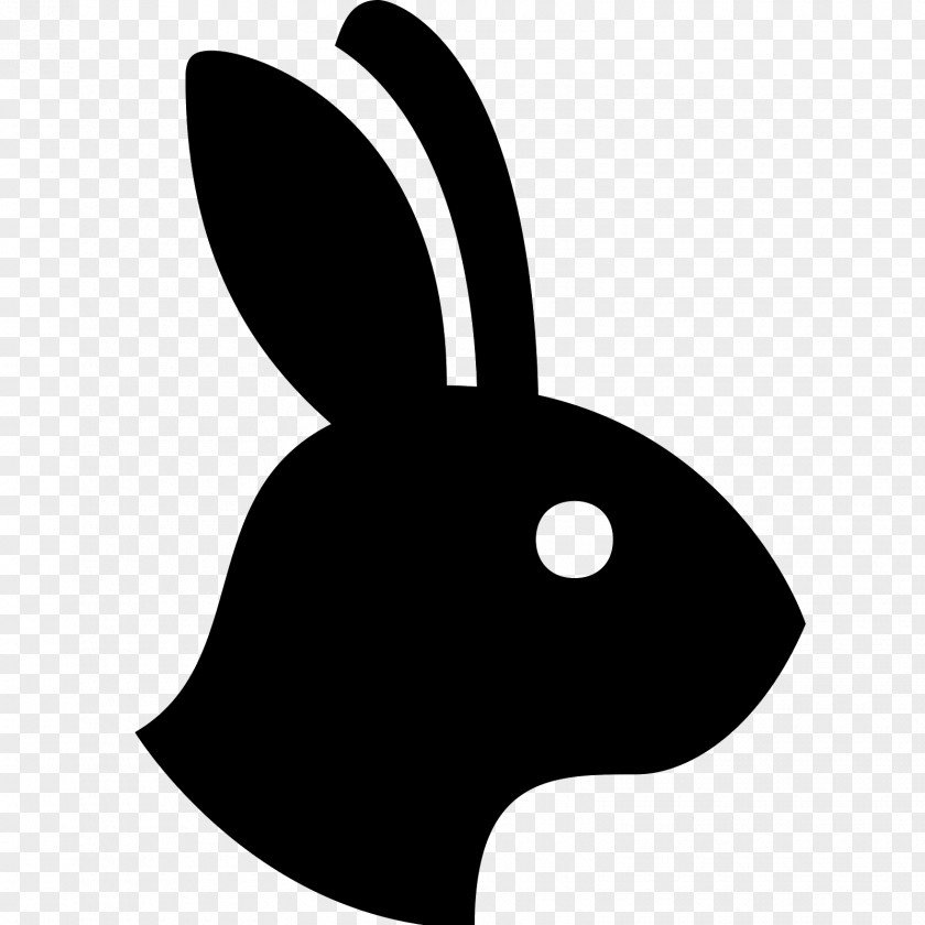 Rabbit Domestic European PNG