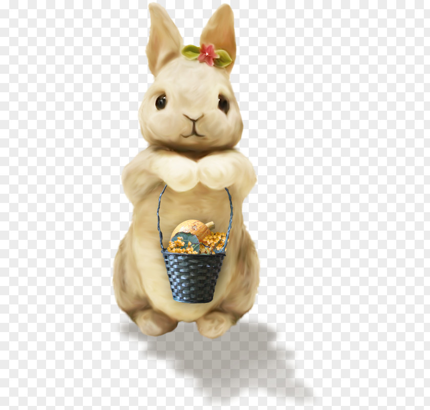 Cute Little Bunny Easter Rabbit Animal PNG