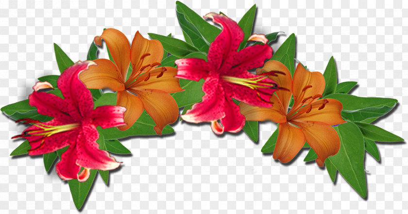 Flower Floral Design Wreath Cut Flowers Bouquet PNG