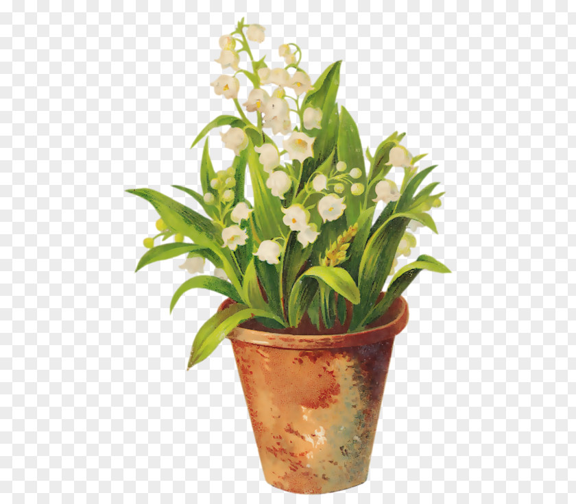 Lily Of The Valley Flowerpot Sony Xperia Z5 Premium Photography PNG