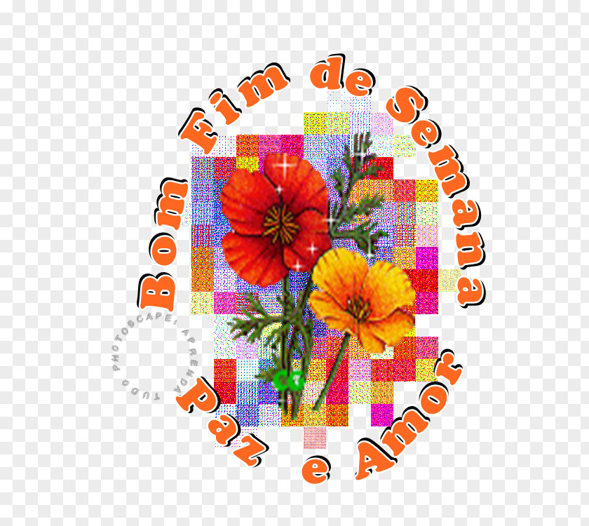 Mim Floral Design Cut Flowers PNG