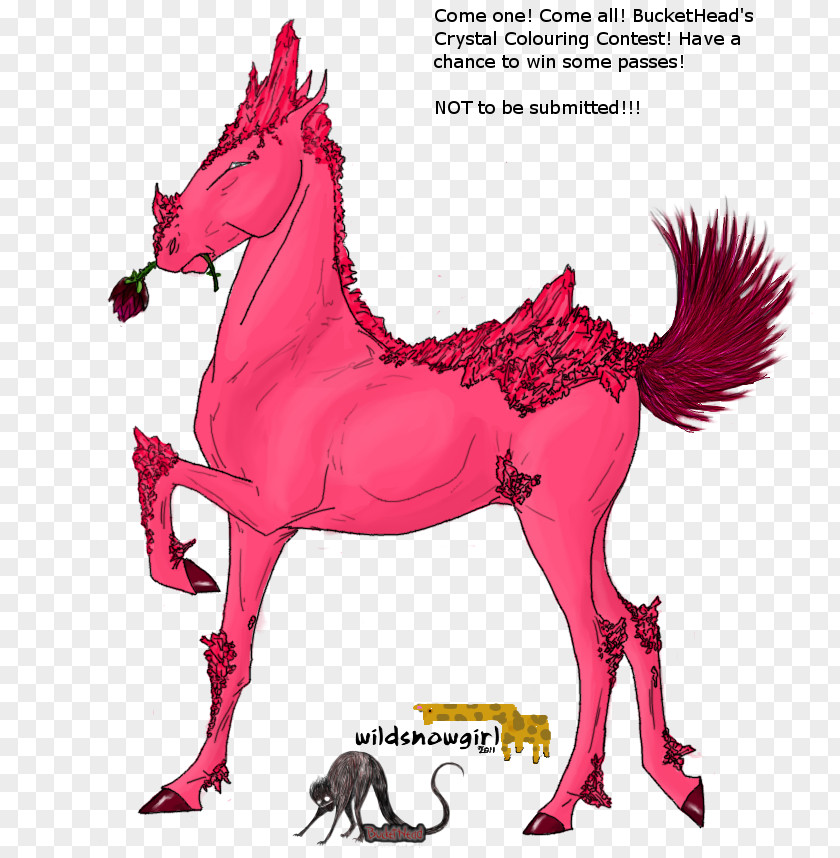 Mustang Mane Illustration Pack Animal Fauna PNG