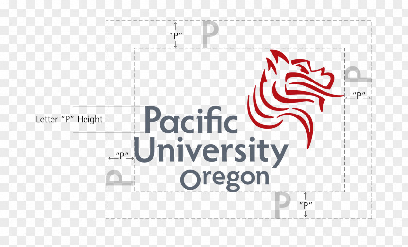 University Of The Pacific Boxers Men's Basketball Lewis & Clark College PNG