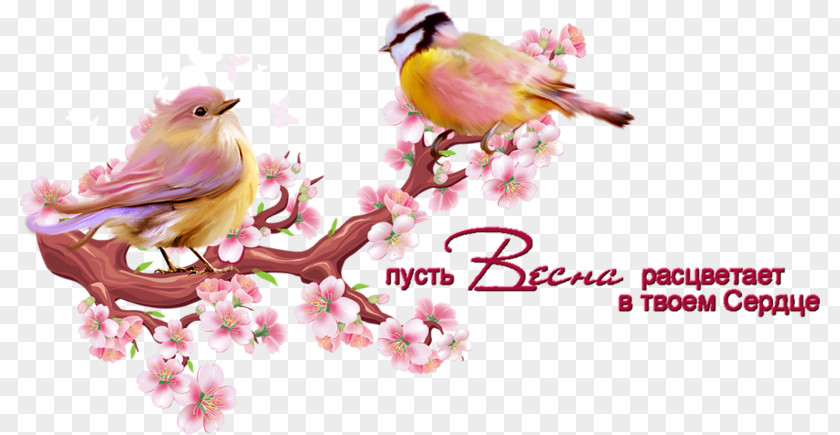 Creative Valentine's Day Cherry Blossom Branch Clip Art PNG