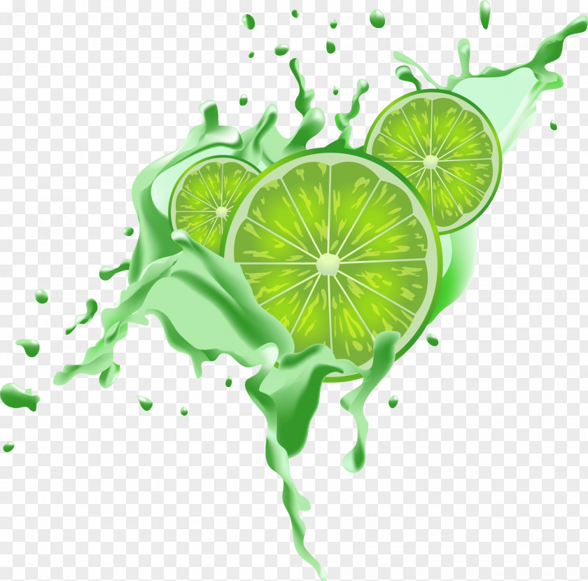 Fresh Green Lemon Juice Lemon-lime Drink Dessert Bar PNG