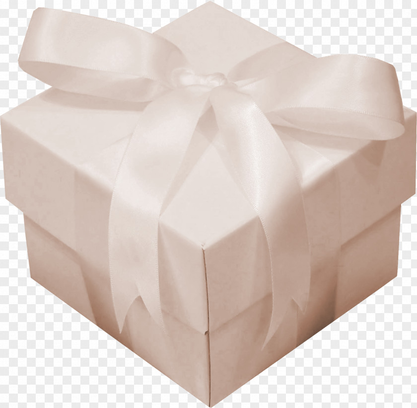 Gift Box White PNG