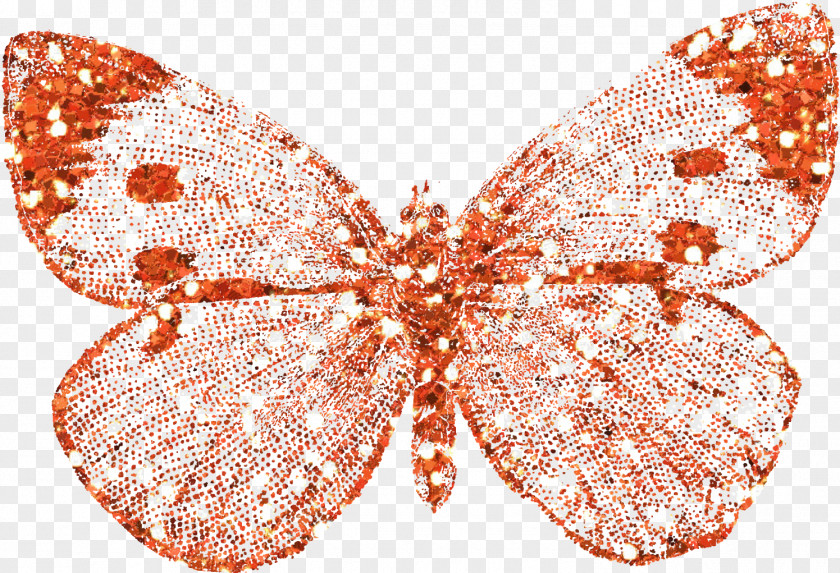 Gliter Monarch Butterfly Insect Moth Pollinator PNG