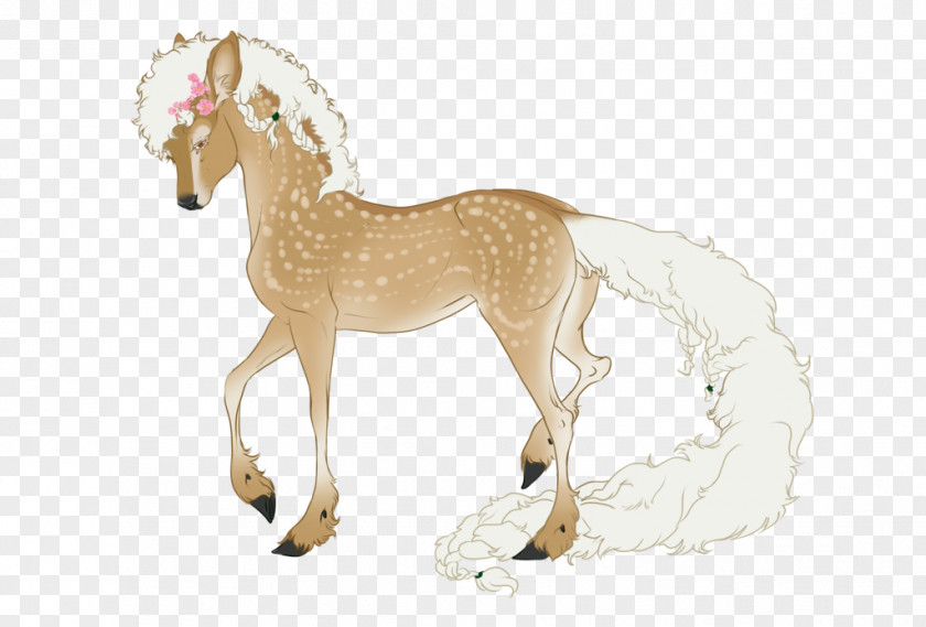 Jamie Dornan DeviantArt Mustang Foal Pony PNG