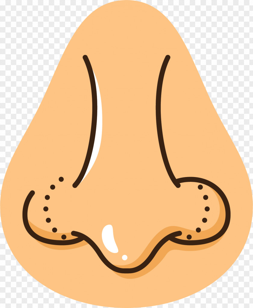 Nose Shrinkage Shaping Plastic Surgery Face Euclidean Vector PNG