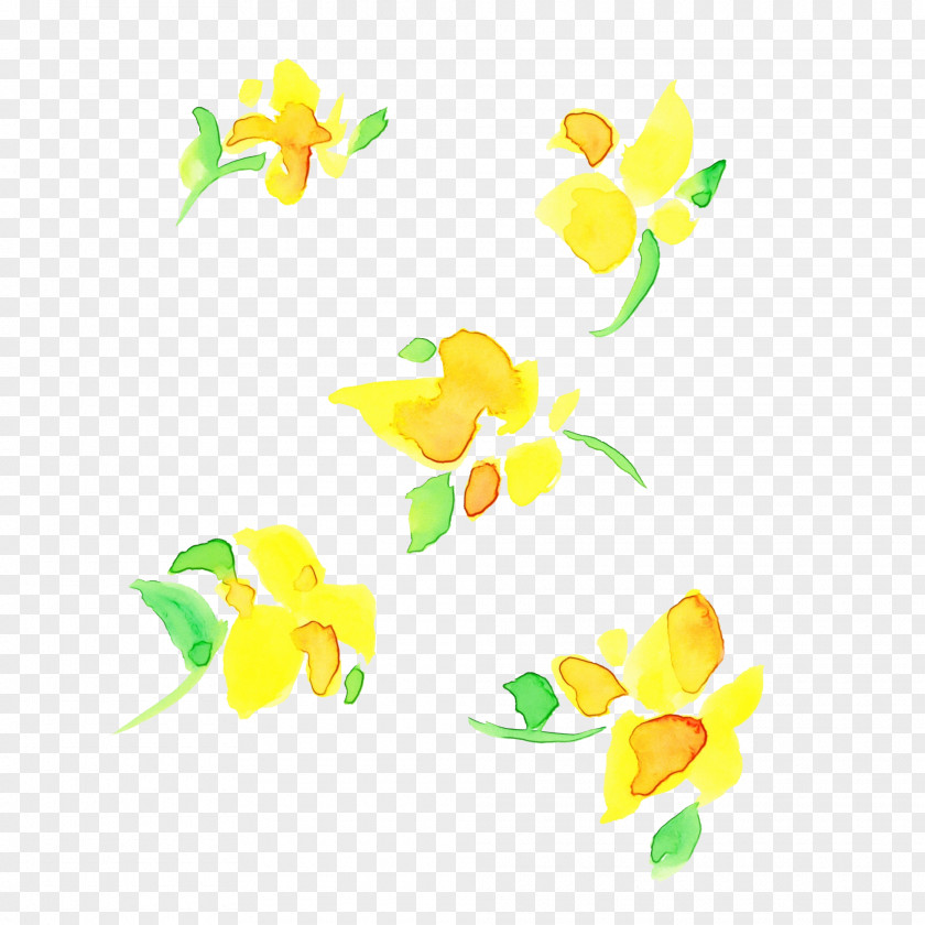 Yellow Leaf Petal Plant Flower PNG