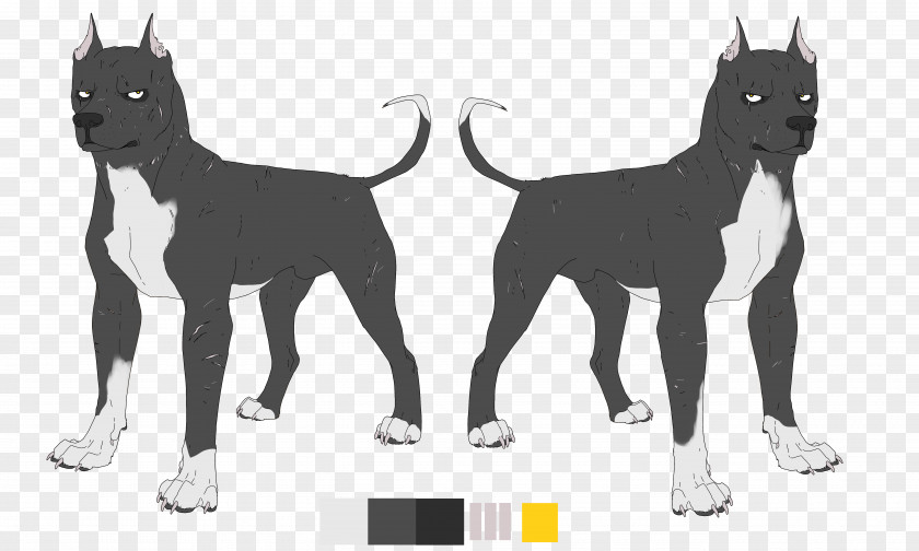 Cat Dog Breed Paw Character PNG