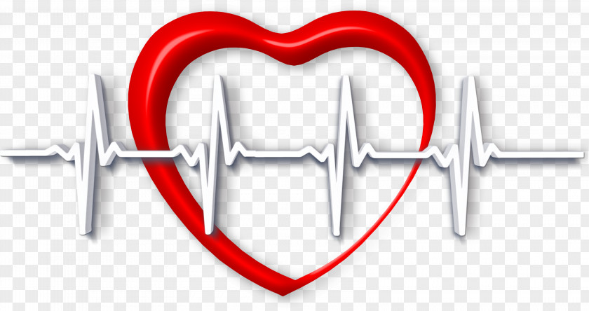 Heart Rate Monitor Tachycardia Bradycardia PNG