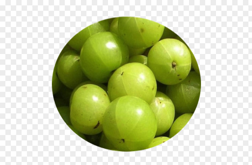 India Indian Gooseberry Health Food PNG