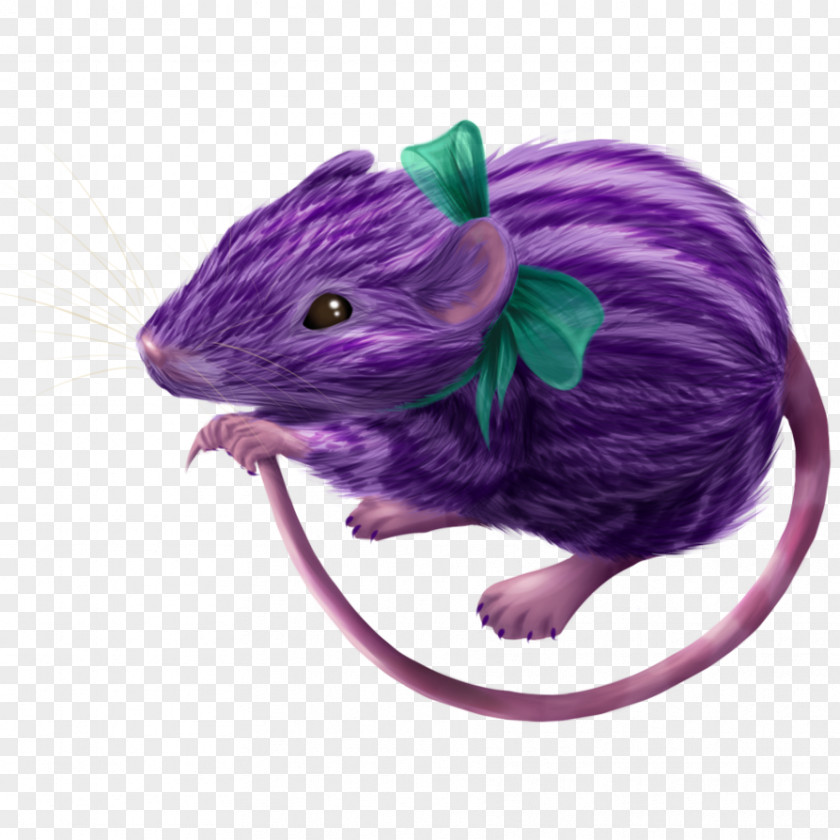 Rat Gerbil Computer Mouse PNG
