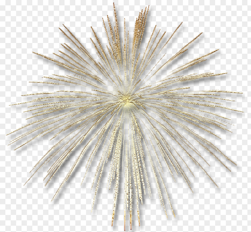 Transparent Gold Fireworks Effect Clip Art PNG