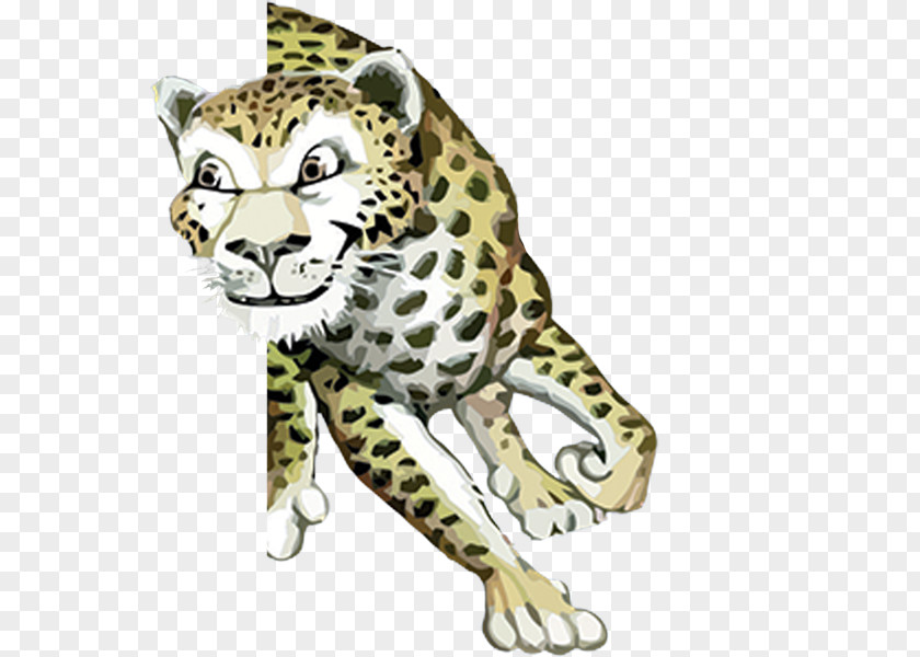 Cheetah Keith's Superstore Hattiesburg Baxterville Leopard PNG