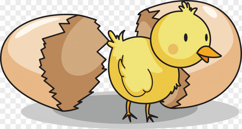 Chicken Clip Art Vector Graphics Egg Image PNG