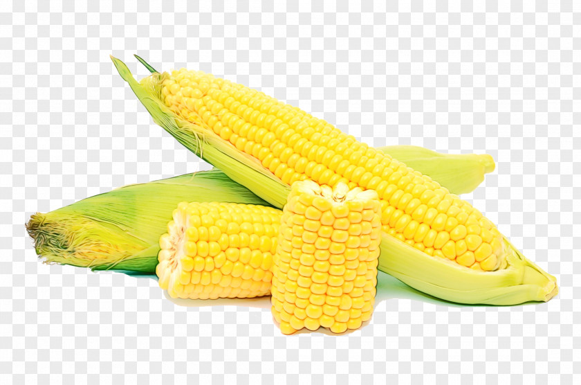 Cuisine Vegetable Corn Kernels On The Cob Sweet Yellow PNG