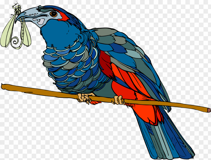 Dragonfly Bird Parrot Beak Feather Macaw PNG