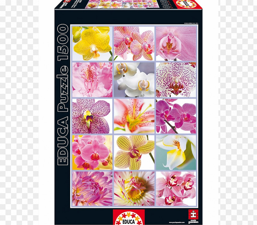 Flower Jigsaw Puzzles Bouquet Educa Borràs Toy PNG