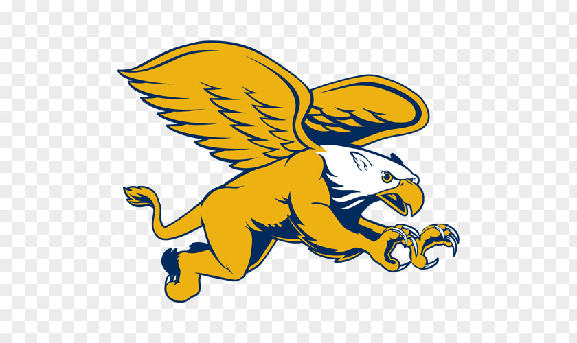 Griffins Canisius College Golden Men's Basketball Women's Ice Hockey MAAC Tournament PNG