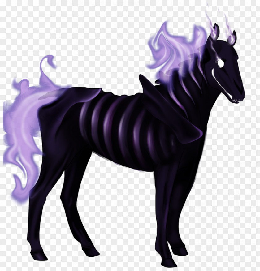 Horse Head Mane Mustang Stallion Skeleton Pony PNG