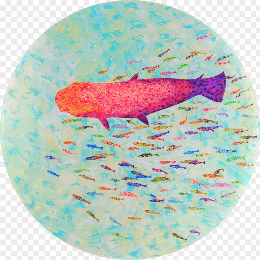 Chin Dream Marine Biology Mammal Fish Pink M PNG