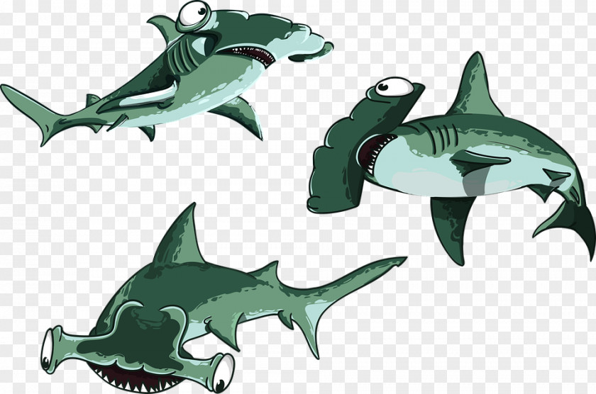 Shark Hammerhead Fish Great Drawing PNG
