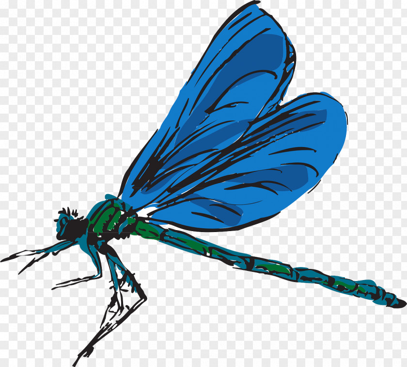 Blue Dragonfly Free Content Clip Art PNG