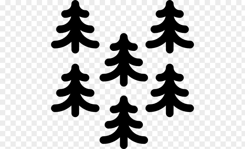 Christmas Tree Pine Spruce PNG
