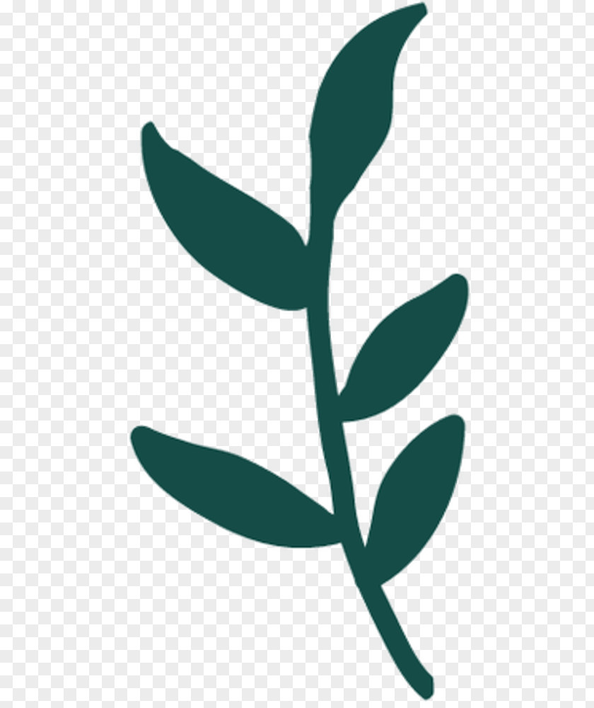 Clip Art Plant Stem Leaf Teal Flowering PNG