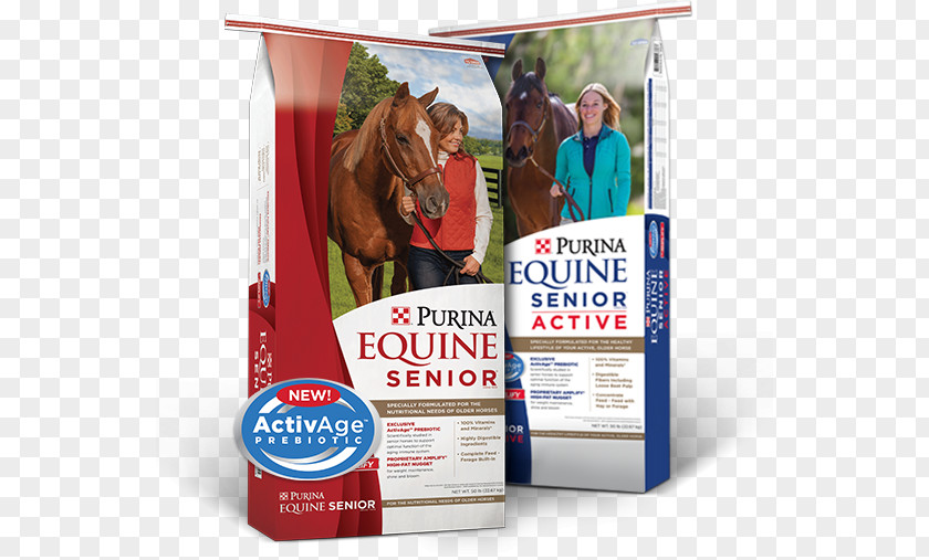 Horse Equine Nutrition Purina Mills Nestlé PetCare Company Veterinarian PNG
